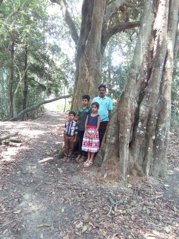 מאננטהוואדי Wayanad Homestay מראה חיצוני תמונה